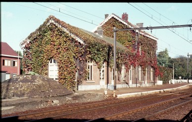 EKEREN  82-8877.jpg